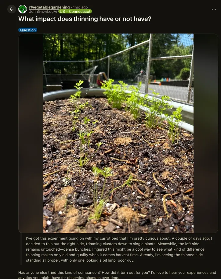 Reddit post by JohnGrowLogAi asking 'What impact does thinning have or not have?' with carrot bed photo, r/vegetablegardening